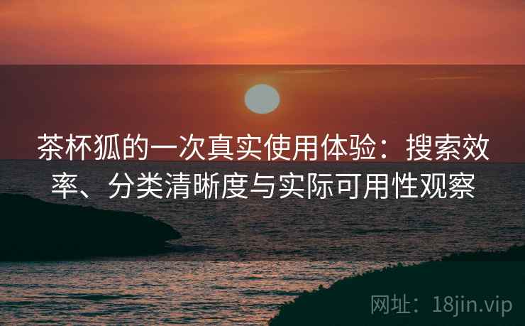 茶杯狐的一次真实使用体验：搜索效率、分类清晰度与实际可用性观察  第2张